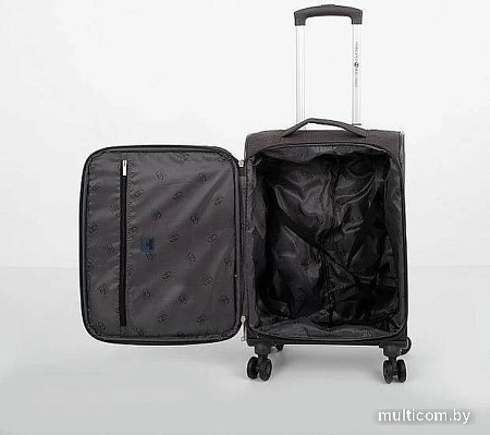 Чемодан-спиннер Francesco Molinary 270-2519-3-20 (темно-серый)