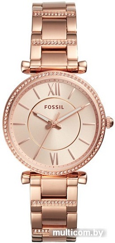 Наручные часы Fossil ES4301