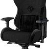 Кресло AndaSeat T-Pro 2 (черный)