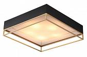 Припотолочная люстра ST Luce Chodo SL1127.422.05