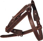 Шлея Gamma 11332004 (коричневый)