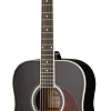 Акустическая гитара Naranda DG220BK