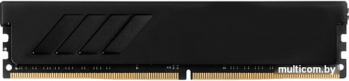 Оперативная память GeIL EVO Spear 4GB DDR4 PC4-24000 GSB48GB3000C16ASC