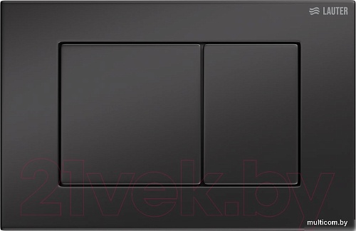 Панель смыва Lauter 219704J (черный)