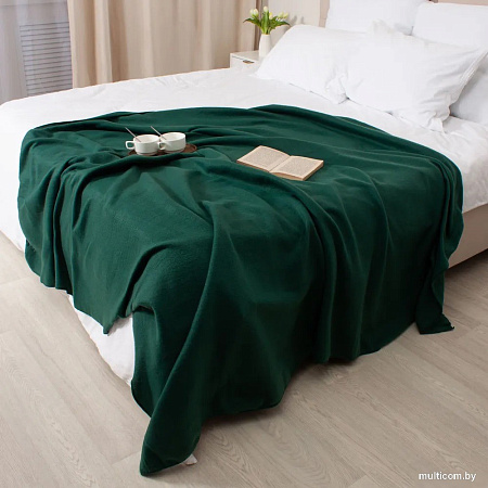 Плед Casa Conforte London Basic 130x165 6155337 (зеленый)