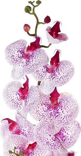 Искусственный цветок Forgarden Орхидея BN11117 (фуксия в крапинку)