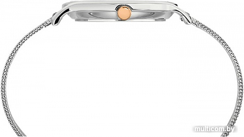 Наручные часы Timex TW2T36300