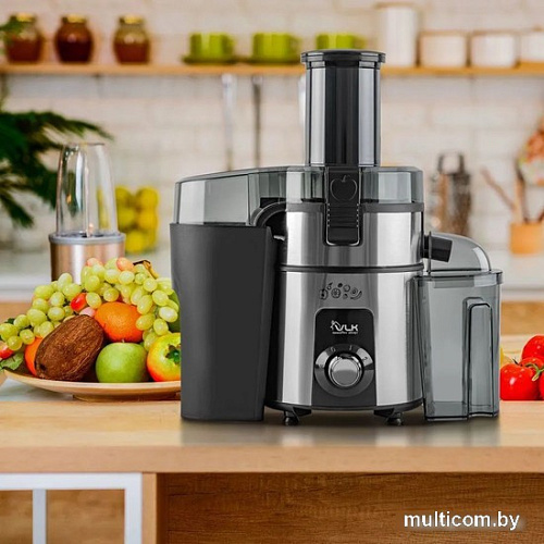 Соковыжималка VLK Profi 4100