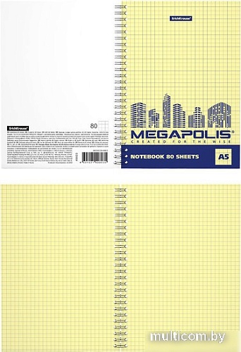 Общая тетрадь Erich Krause Megapolis Yellow Concept 80 л клетка 49803