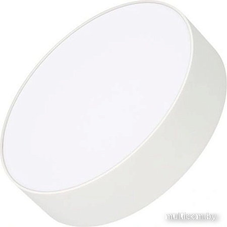Светодиодная панель Arlight SP-RONDO-R210-20W Day4000 022230(2)