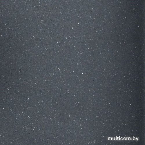 Кухонная мойка Wisent 420-25W (с сифоном GER013)