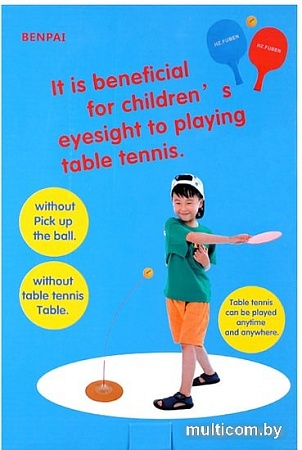 Настольный теннис Darvish DV-S-261