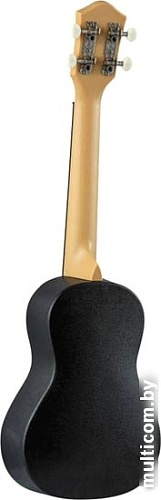 Укулеле Terris PLUC 23 BK