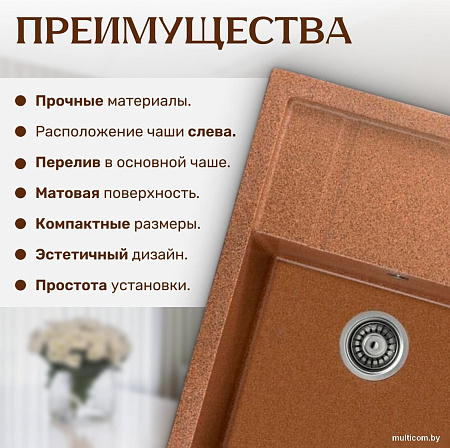 Кухонная мойка Saniteco Fortis (терракот)
