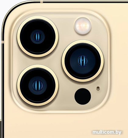 Смартфон Apple iPhone 13 Pro 256GB (золотой)