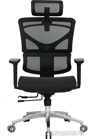 Кресло Evolution ERGO Mesh (черный)