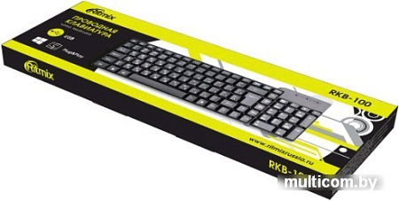 Клавиатура Ritmix RKB-100