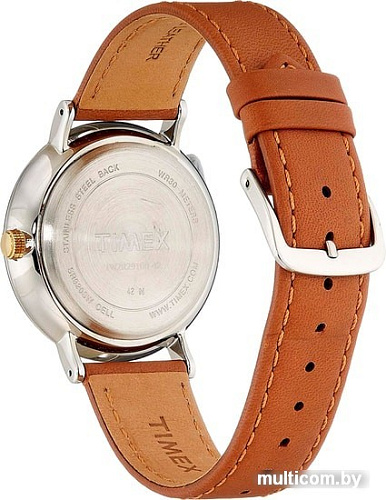 Наручные часы Timex TW2R29100