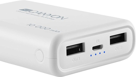 Портативное зарядное устройство Canyon CNS-CPBP10W