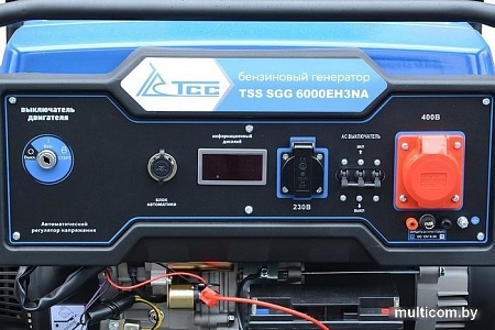 Бензиновый генератор ТСС SGG 6000EH3NA