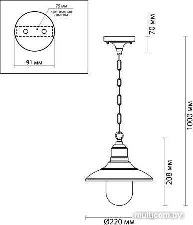 Уличный подвесной светильник Odeon Light Campa 4965/1