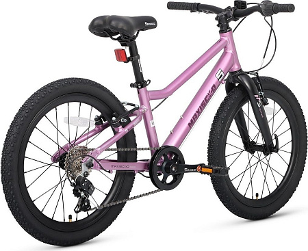 Детский велосипед Maxiscoo 5bike 20 L200 2025 MSC-M5-2013 (розовый сапфир)