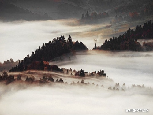 Картина Orlix Туман CA-12952 85x113 см