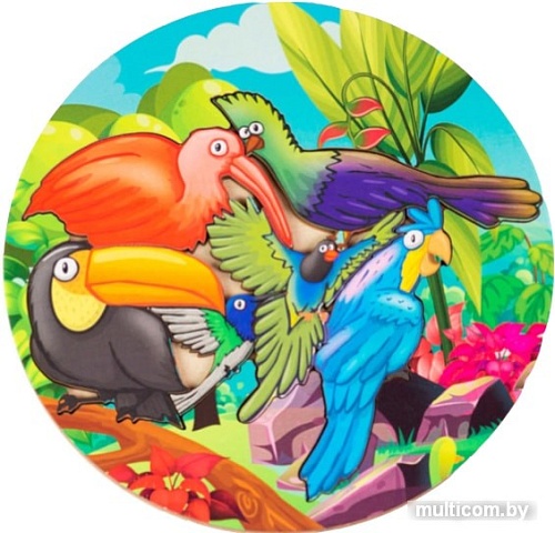 Развивающая игра Paremo Птицы PE720-06