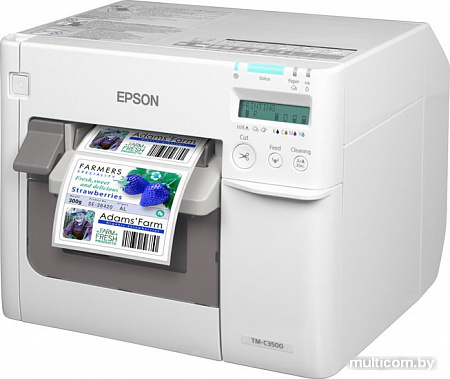 Принтер Epson ColorWorks C3500
