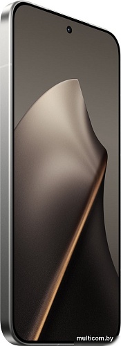 Телефон Xiaomi 15T Pro 12GB/1TB международная версия (серый)