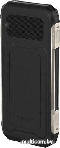 Мобильный телефон Maxvi T12 (черный)