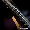 Электрогитара Cort G300 Pro VVB