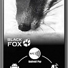 Смартфон Black Fox B4 mini (черный)