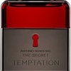 Antonio Banderas The Secret Temptation for men EdT (100 мл)