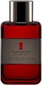 Antonio Banderas The Secret Temptation for men EdT (100 мл)