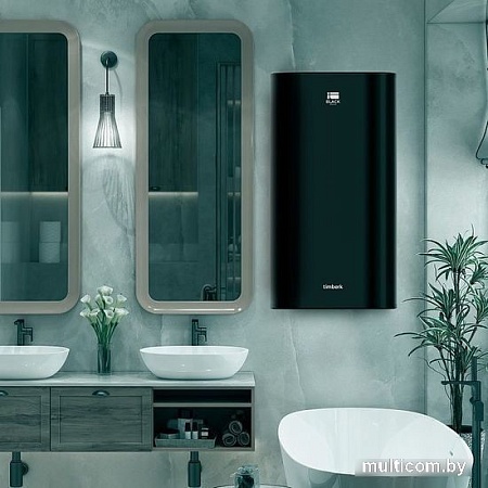 Накопительный электрический водонагреватель Timberk T-WSS100-N28-V