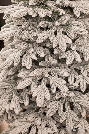 Ель Ёлушка Донская заснеженная ЕДОНЗ 18 (1.8м, подставка пластик)