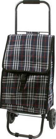 Сумка-тележка Рыжий кот D203ECO Tartan