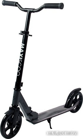 Двухколесный подростковый самокат Maxiscoo River 2023 MSC-RB-2301 (серый)
