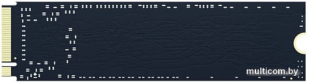 SSD Indilinx 4XN80S 512GB IND-4XN80S512GX