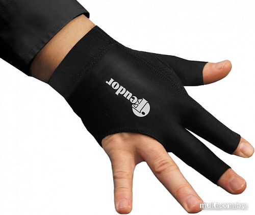 Перчатки для бильярда Feudor Pro Right 0804pr3R (XL, черный)