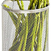 Кастрюля Fissman Asparagus 5099