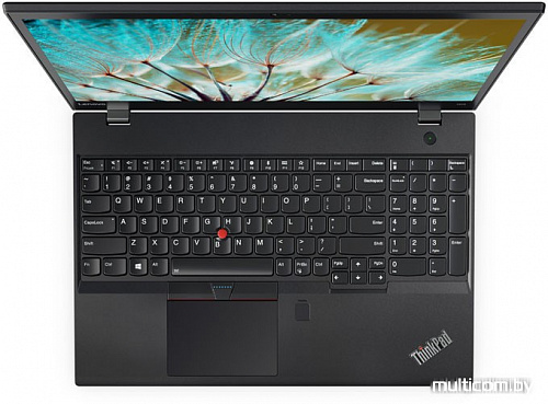 Ноутбук Lenovo ThinkPad T570 [20H90001RT]