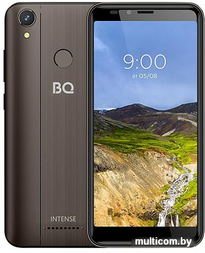 Смартфон BQ-Mobile BQ-5530L Intense (коричневый)