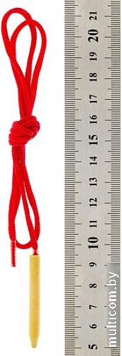 Шнуровка Анданте Фрукты RDI-D004a