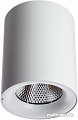 Точечный светильник Arte Lamp Facile A5118PL-1WH