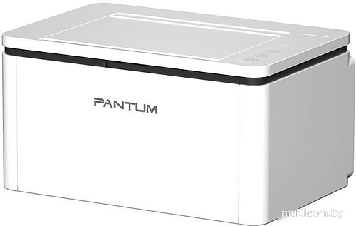 Принтер Pantum BP2300W