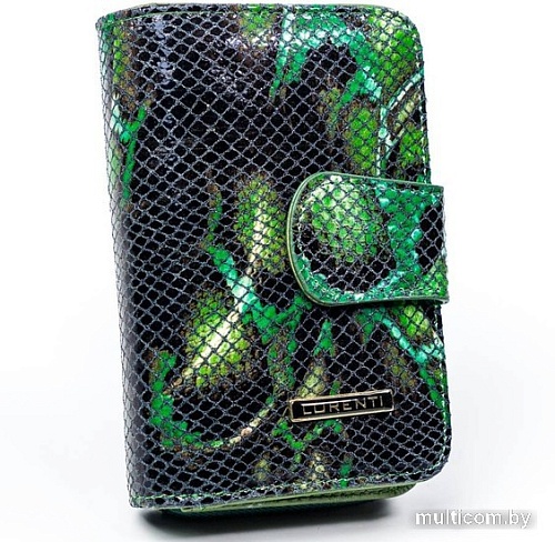 Кошелек Cedar Lorenti 76115-MSN-6615 (зеленый)