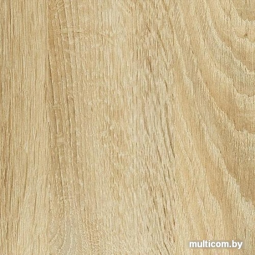 Шкаф распашной Славянская столица С-215.525 (дуб сонома)