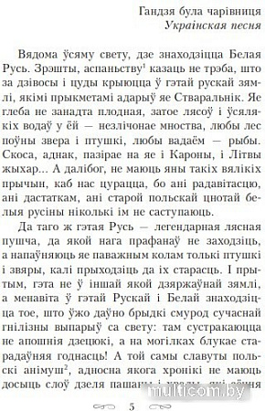Книга издательства Попурри. Полацкая шляхта (Савич-Заблоцкий В.)